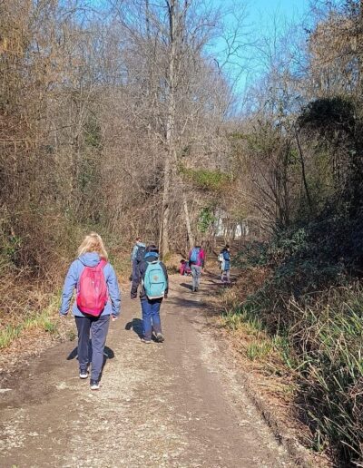 Forest Bathing