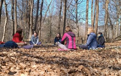 Forest Bathing