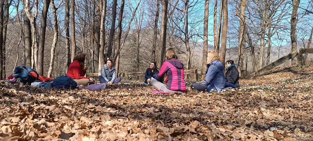 Forest Bathing Forest Bathing