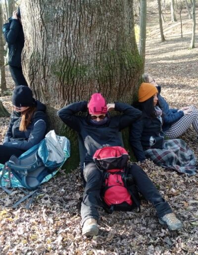 Forest Bathing