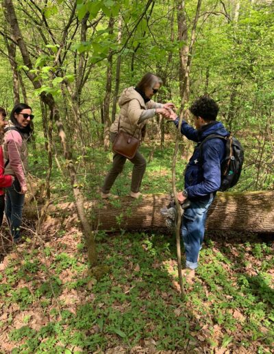 Forest Bathing