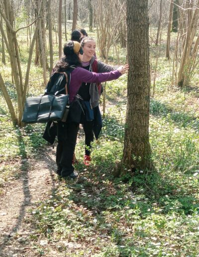 Forest Bathing