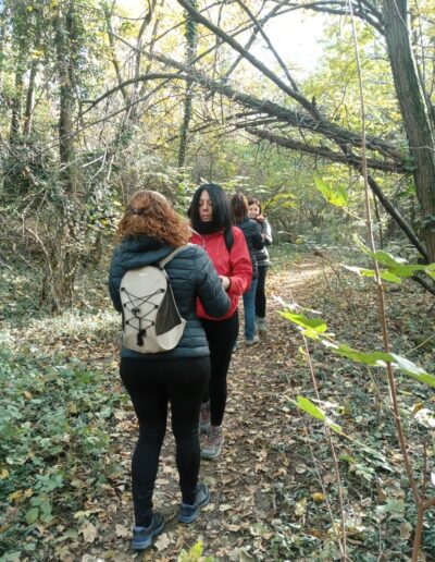 Forest Bathing